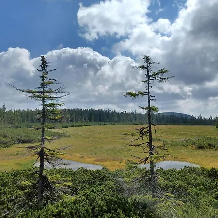 Hill 35 By Interhome * Cista (Hradec Kralove)