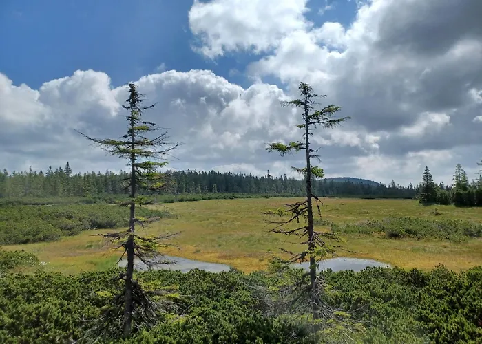 Hill 35 By Interhome * Cista (Hradec Kralove)