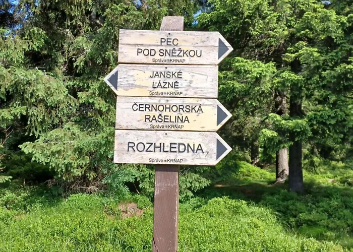 Semesterbostad Hill 35 By Interhome Cista (Hradec Kralove)